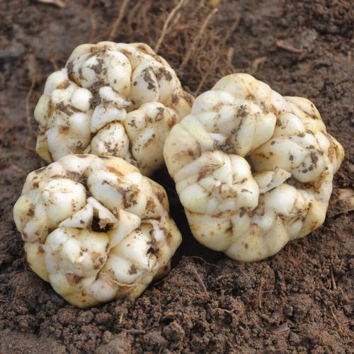 1686968054130014.jpg u=588382758,1549534615&fm=26&gp=0.jpg